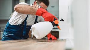 Best Pest Control for Multi-Family Homes  in Liberty Lake, WA